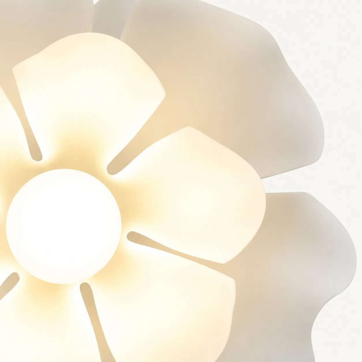 Center glow through translucent petals