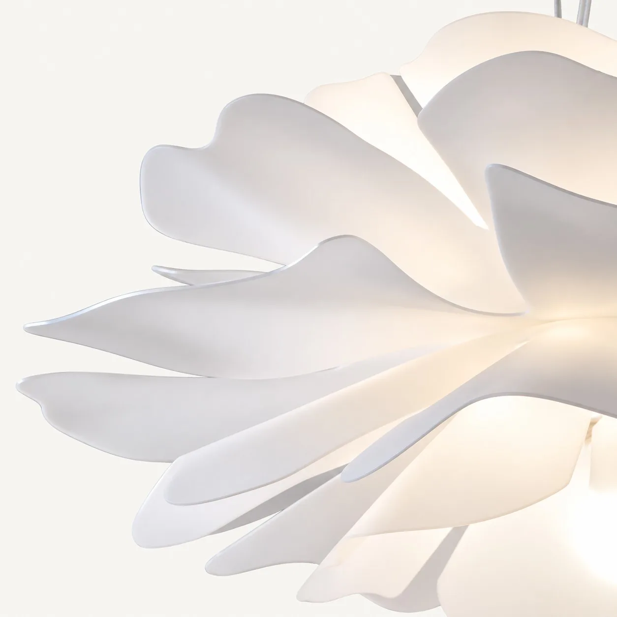 Illuminated white lotus petals